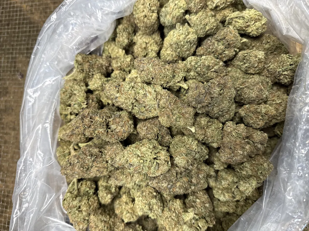 Runtz Packaged Flower